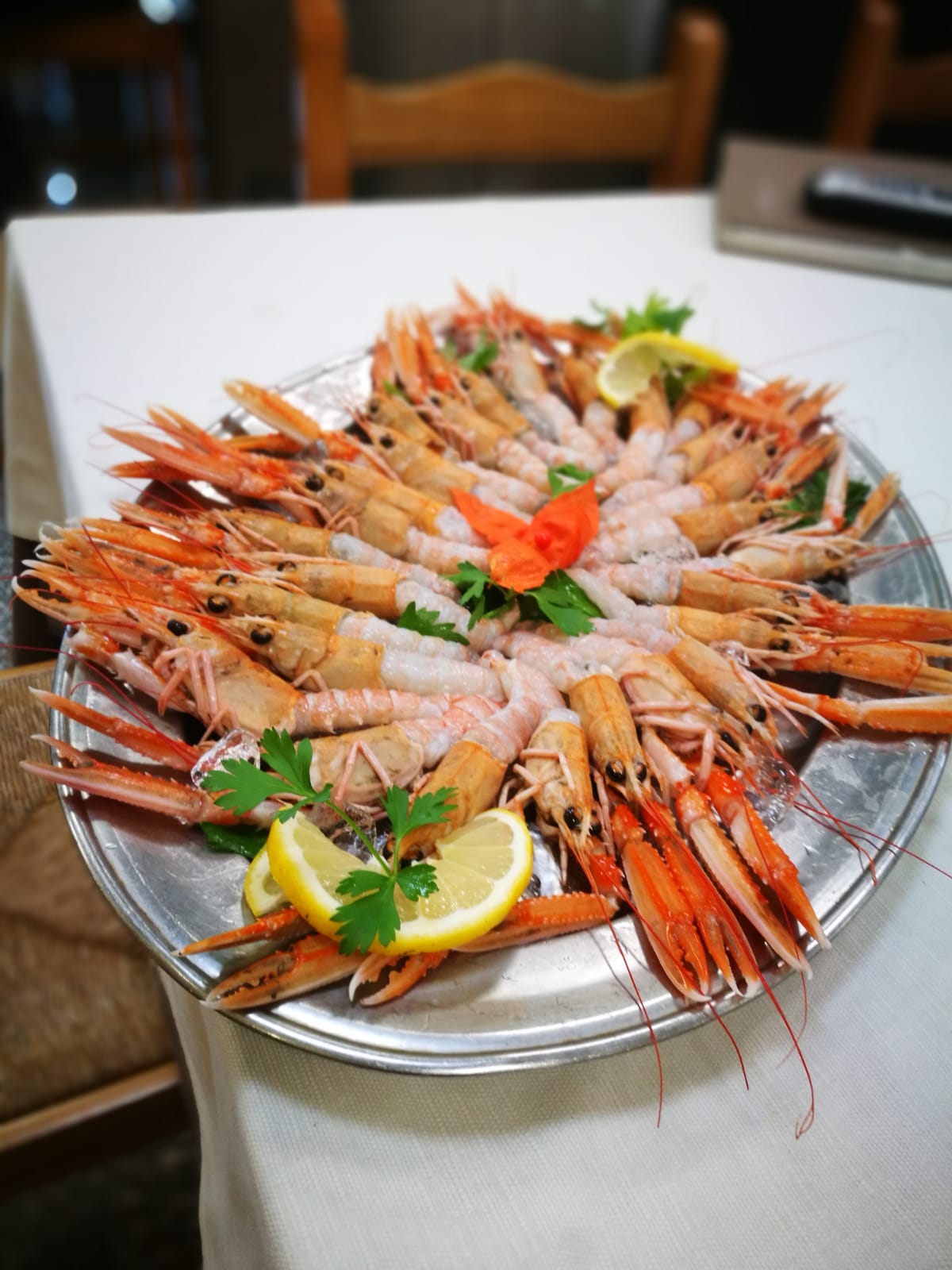 Pesce